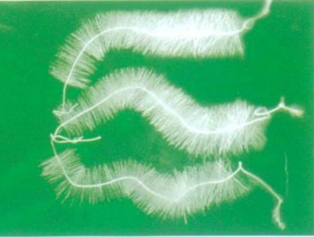 點(diǎn)擊查看詳細(xì)信息<br>標(biāo)題：TL型立體彈性填料 閱讀次數(shù)：6111